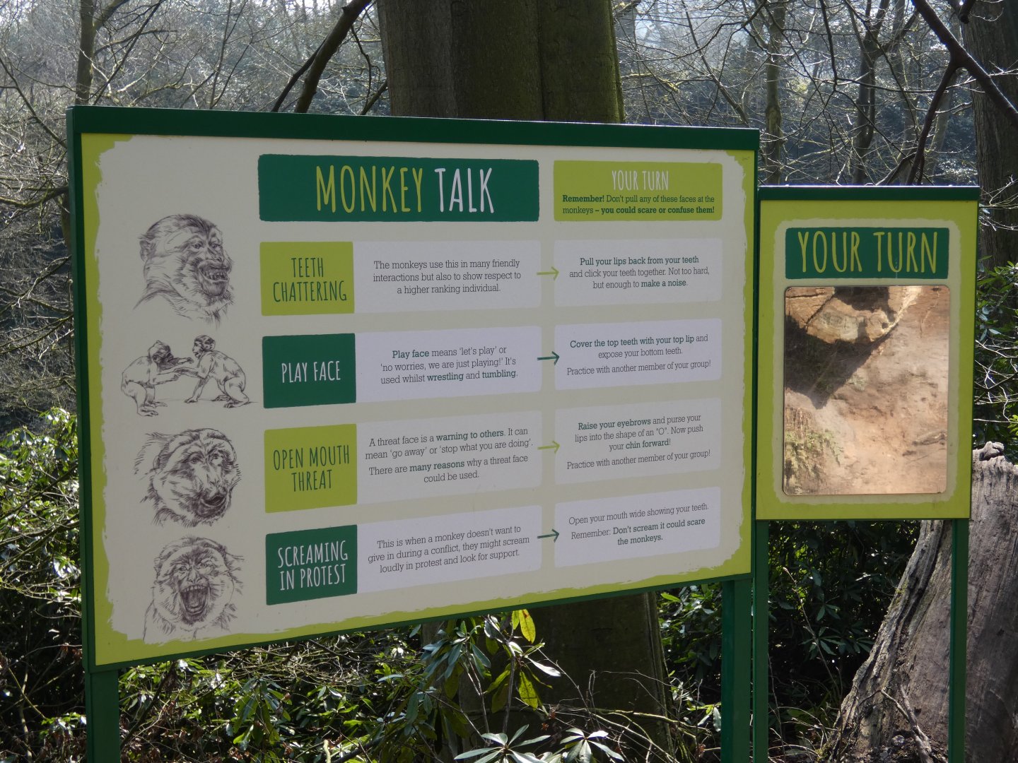 Barbary macaque behaviour signage