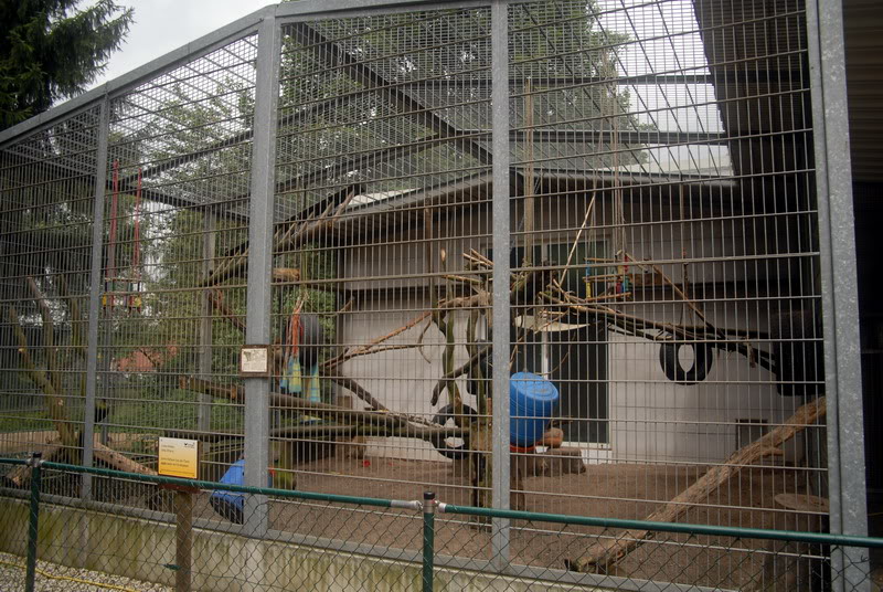 Barbary macaque cage at solingen