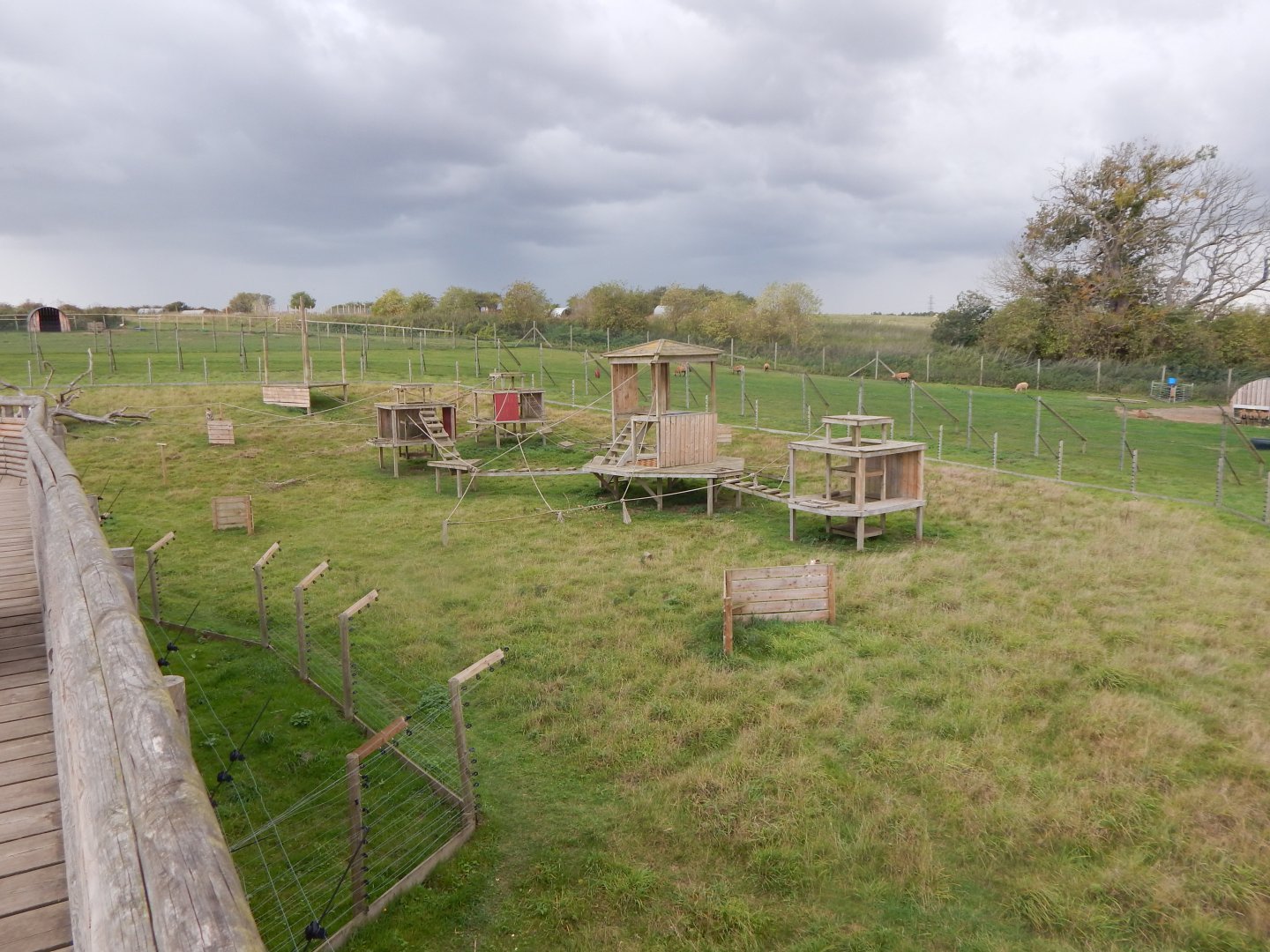 Barbary macaque enclosure 130925