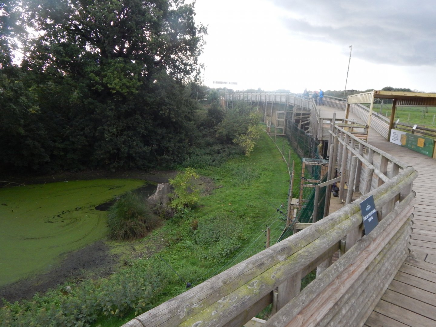 Barbary macaque enclosure 130925