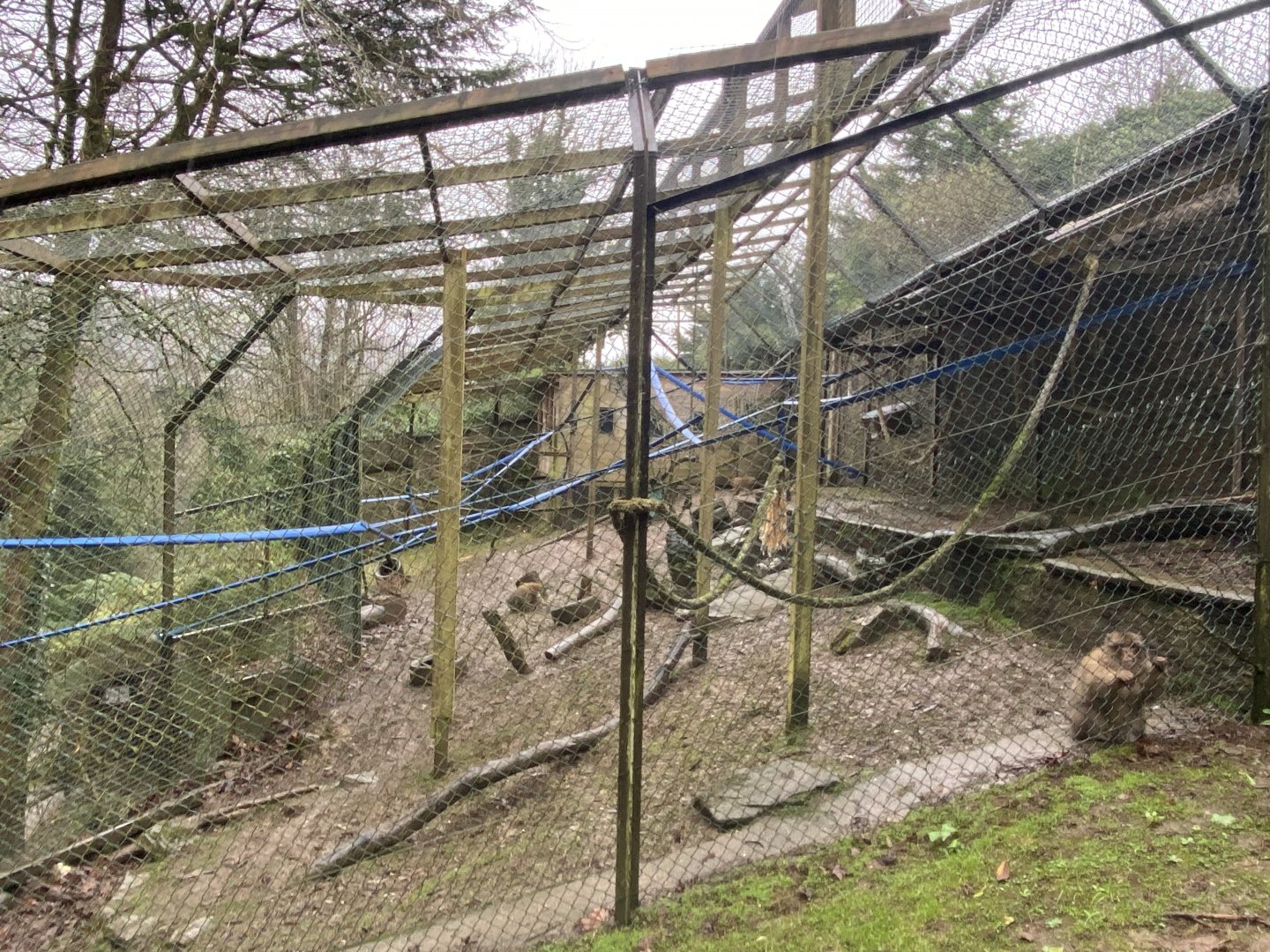 Barbary macaque enclosure 170224
