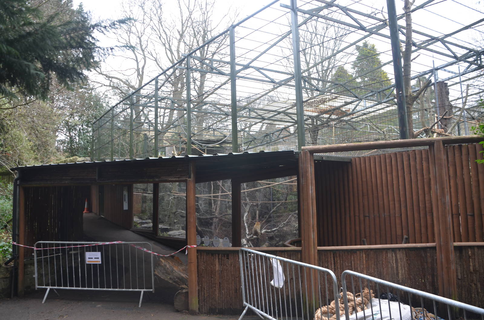 Barbary Macaque Enclosure at Edinburgh, 06/02/16