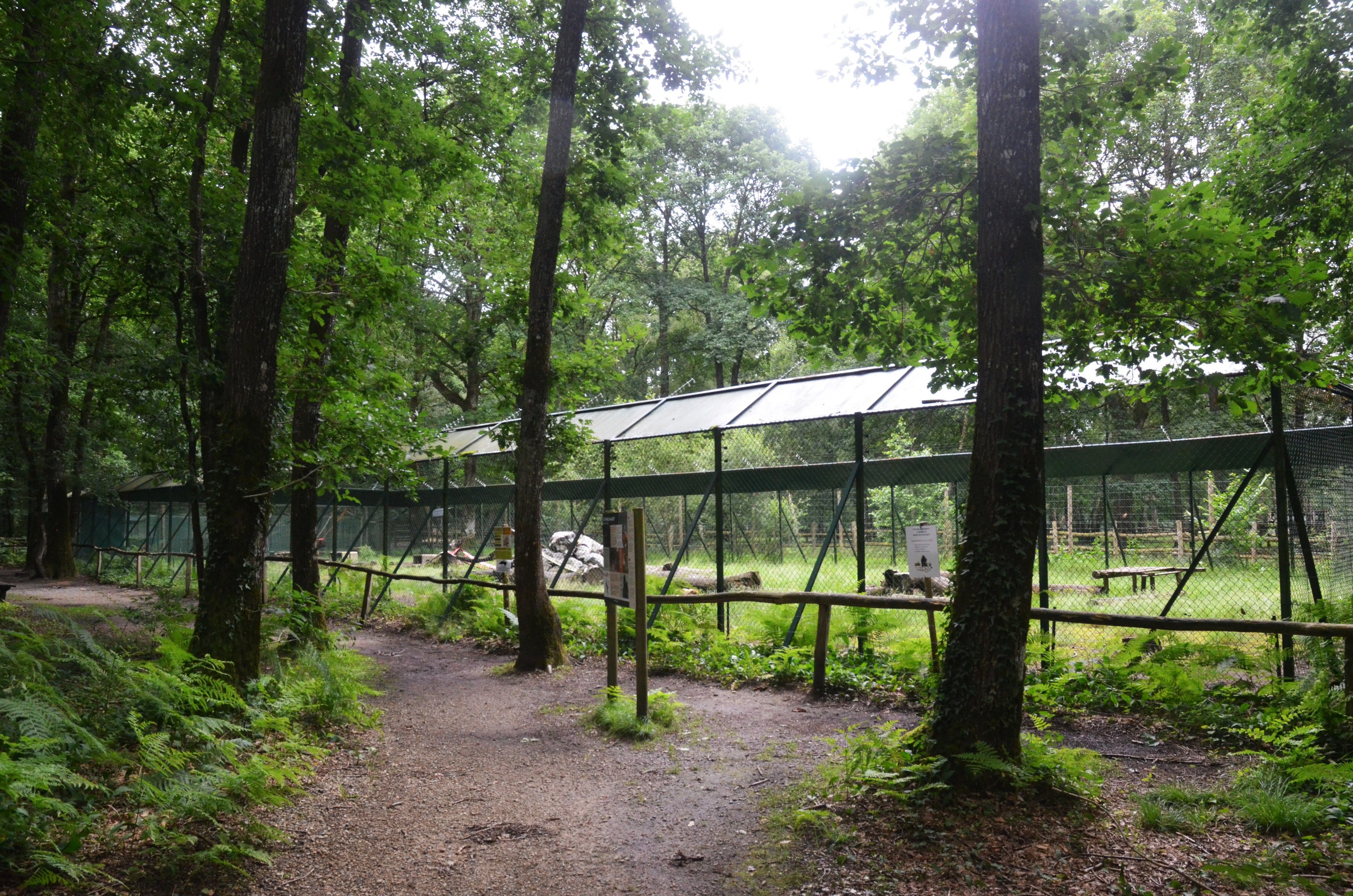 Barbary Macaque Enclosure at Pescheray, 13/06/18