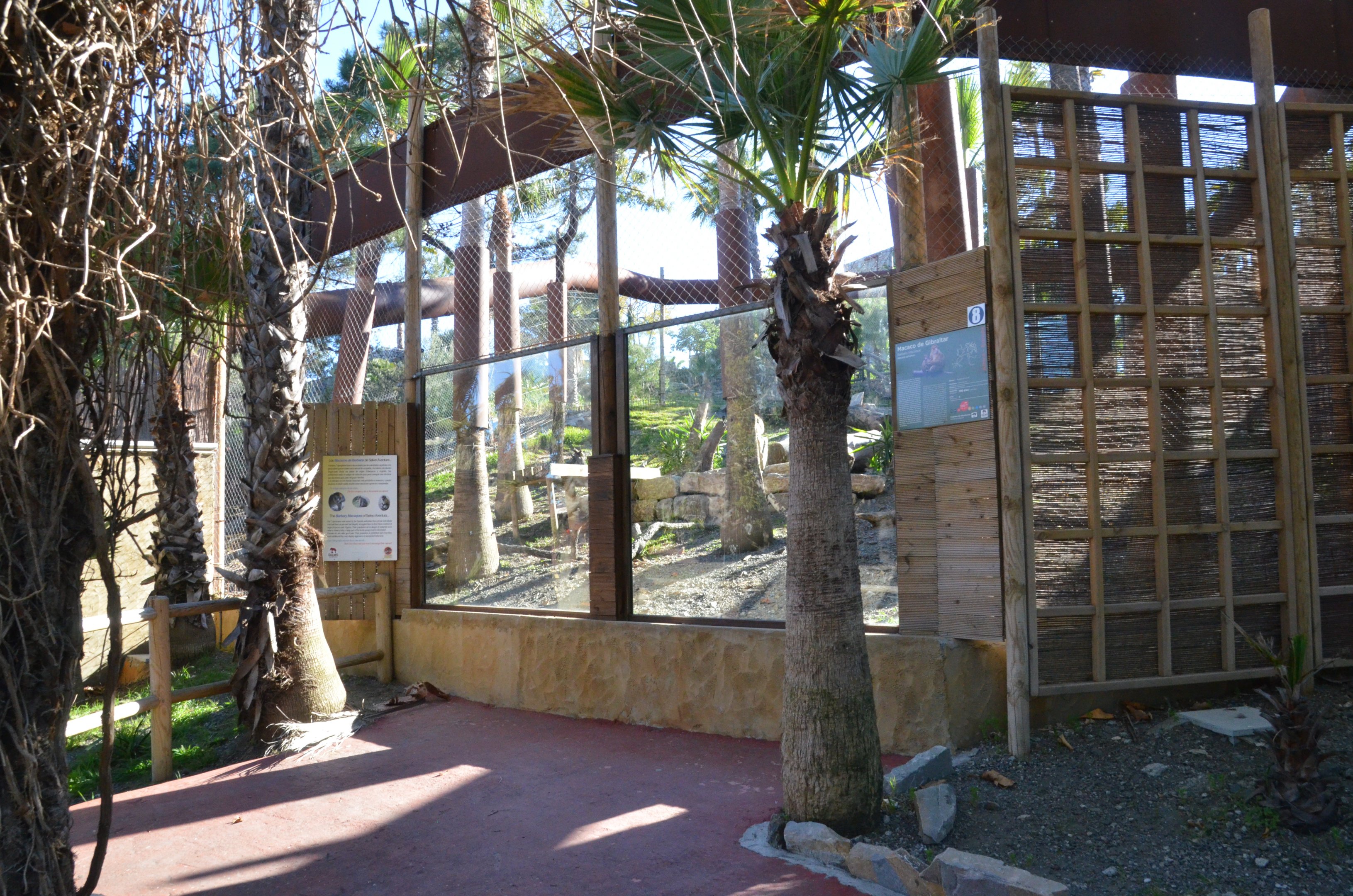 Barbary Macaque Enclosure at Selwo Aventura, 13/03/19