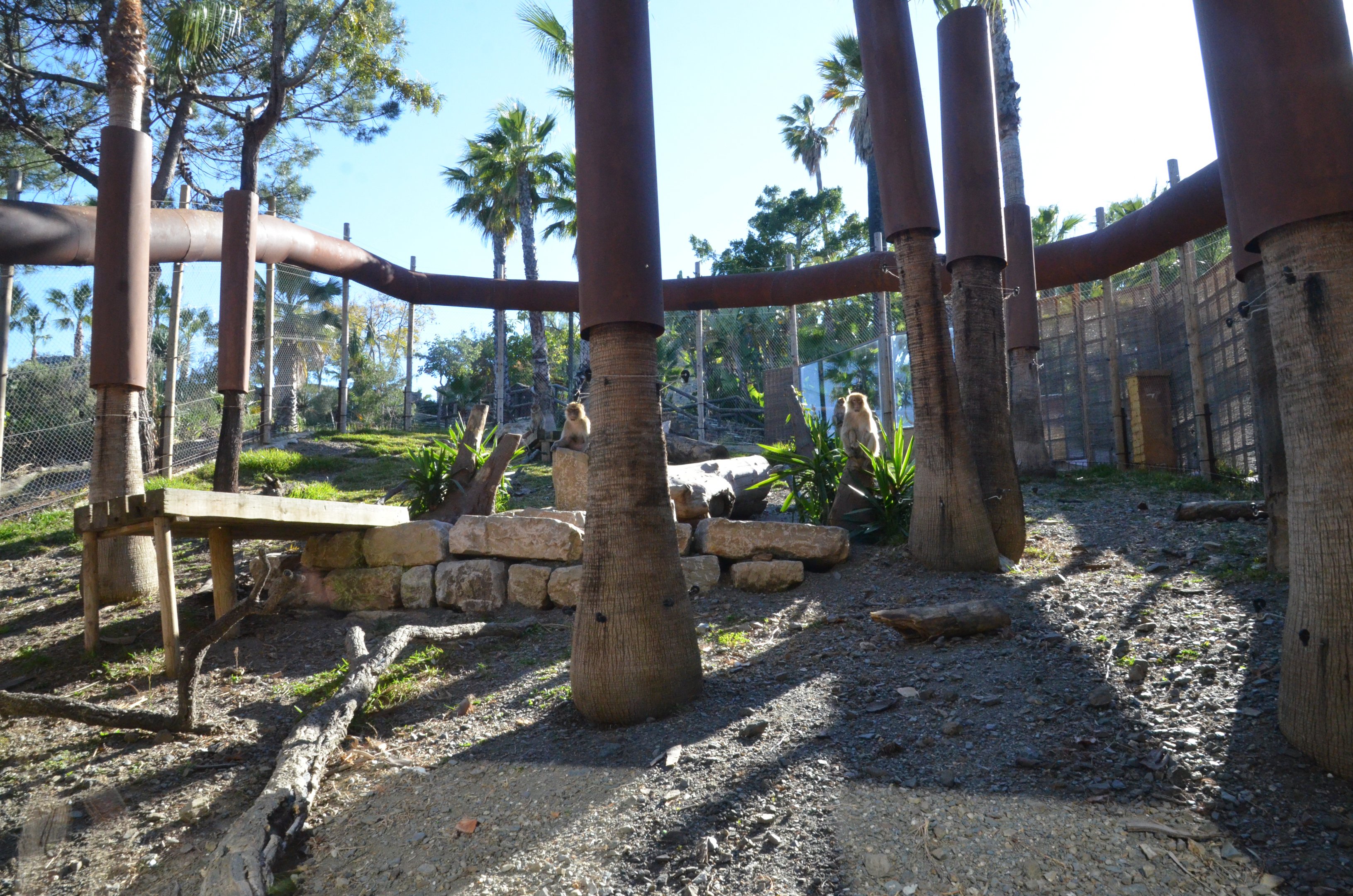 Barbary Macaque Enclosure at Selwo Aventura, 13/03/19