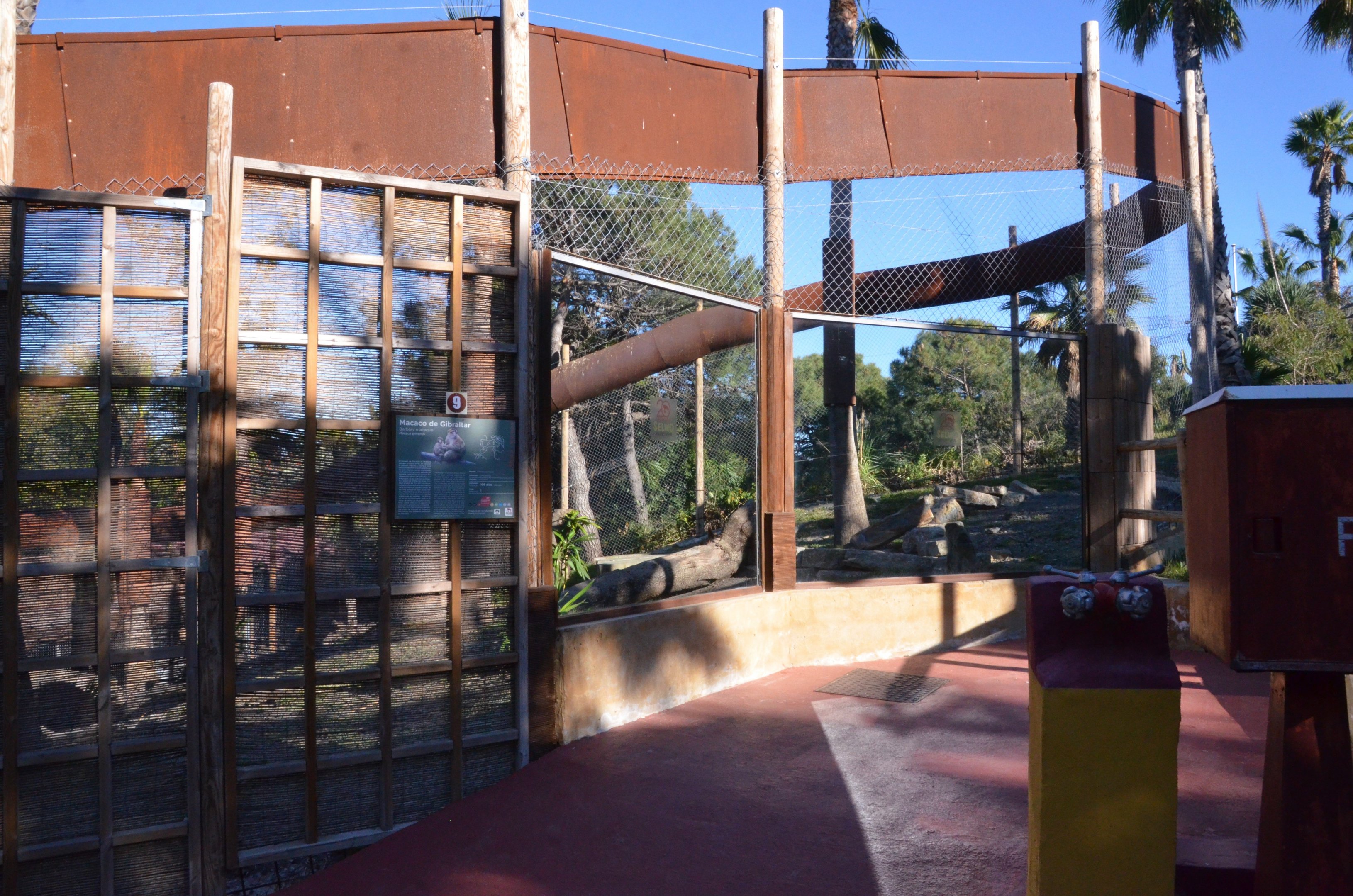 Barbary Macaque Enclosure at Selwo Aventura, 13/03/19