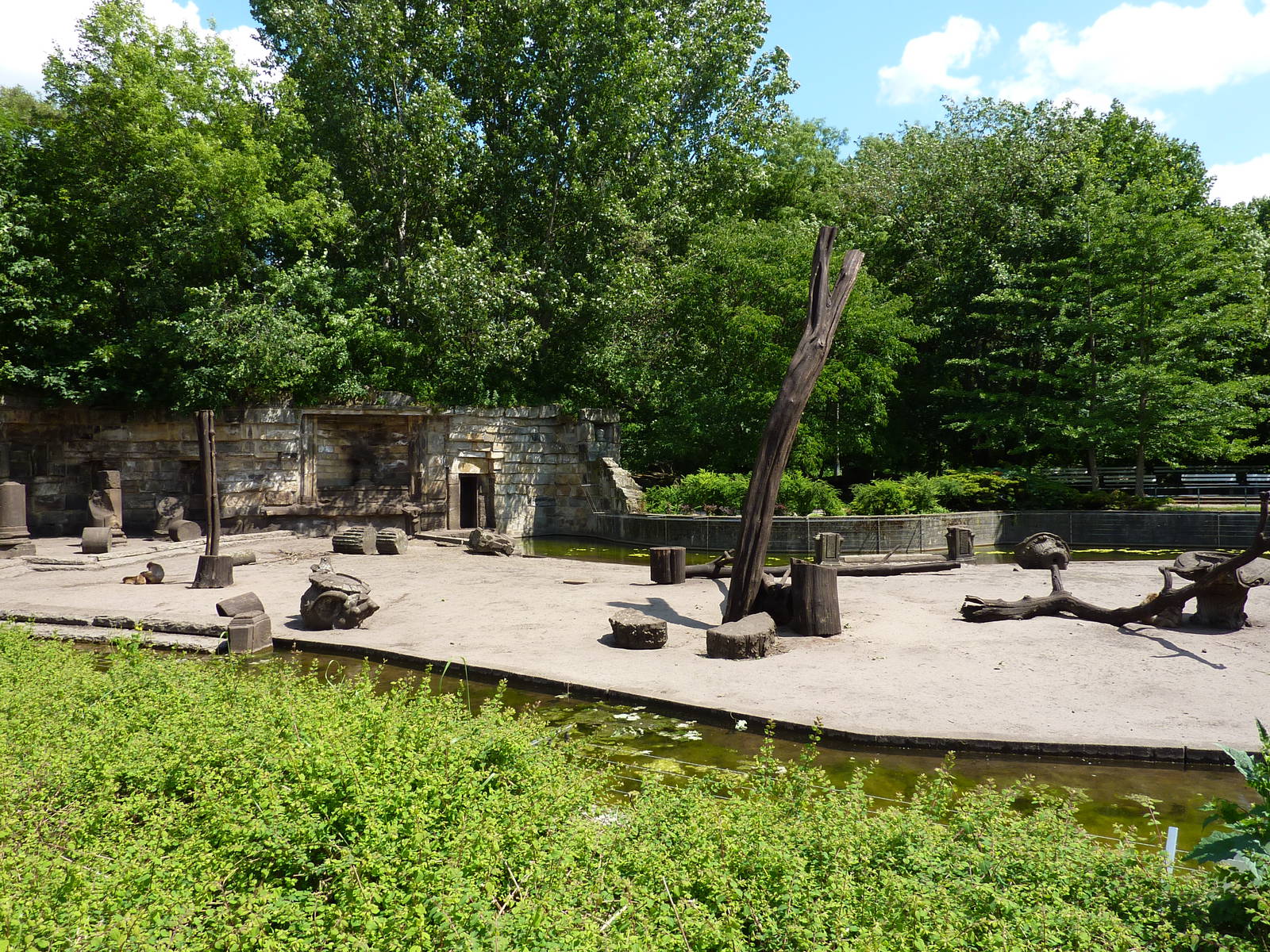 Barbary macaque enclosure