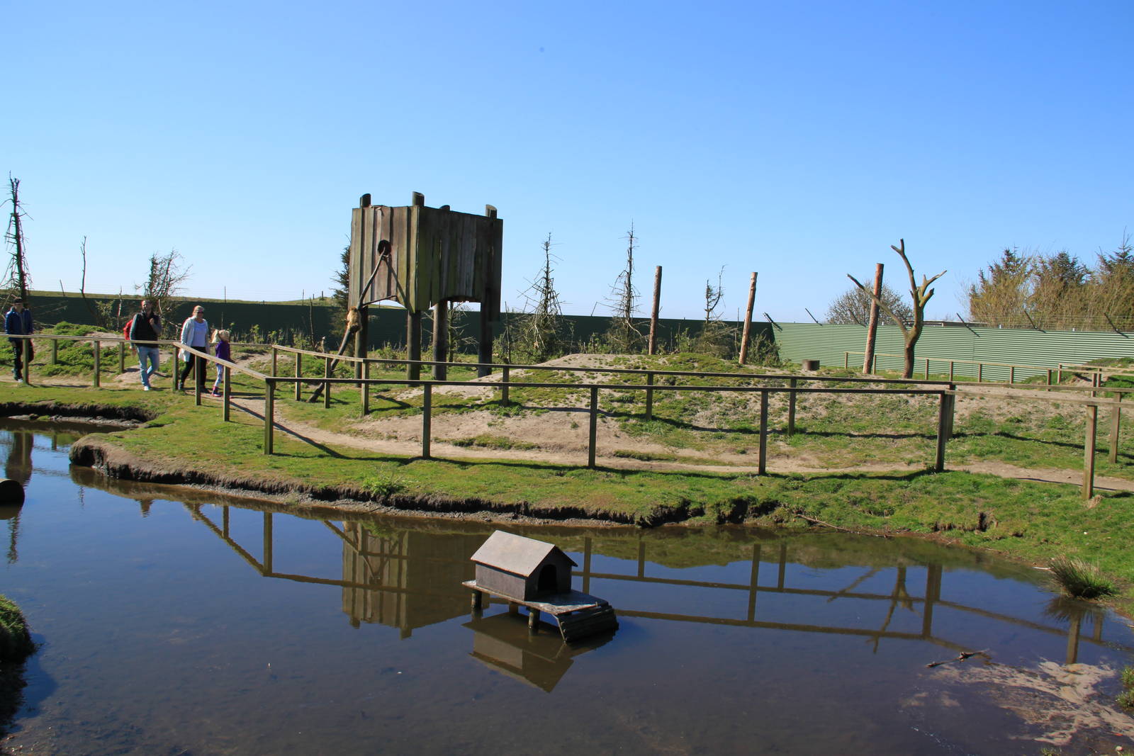 Barbary Macaque Enclosure