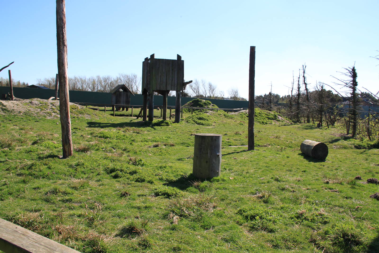 Barbary Macaque Enclosure