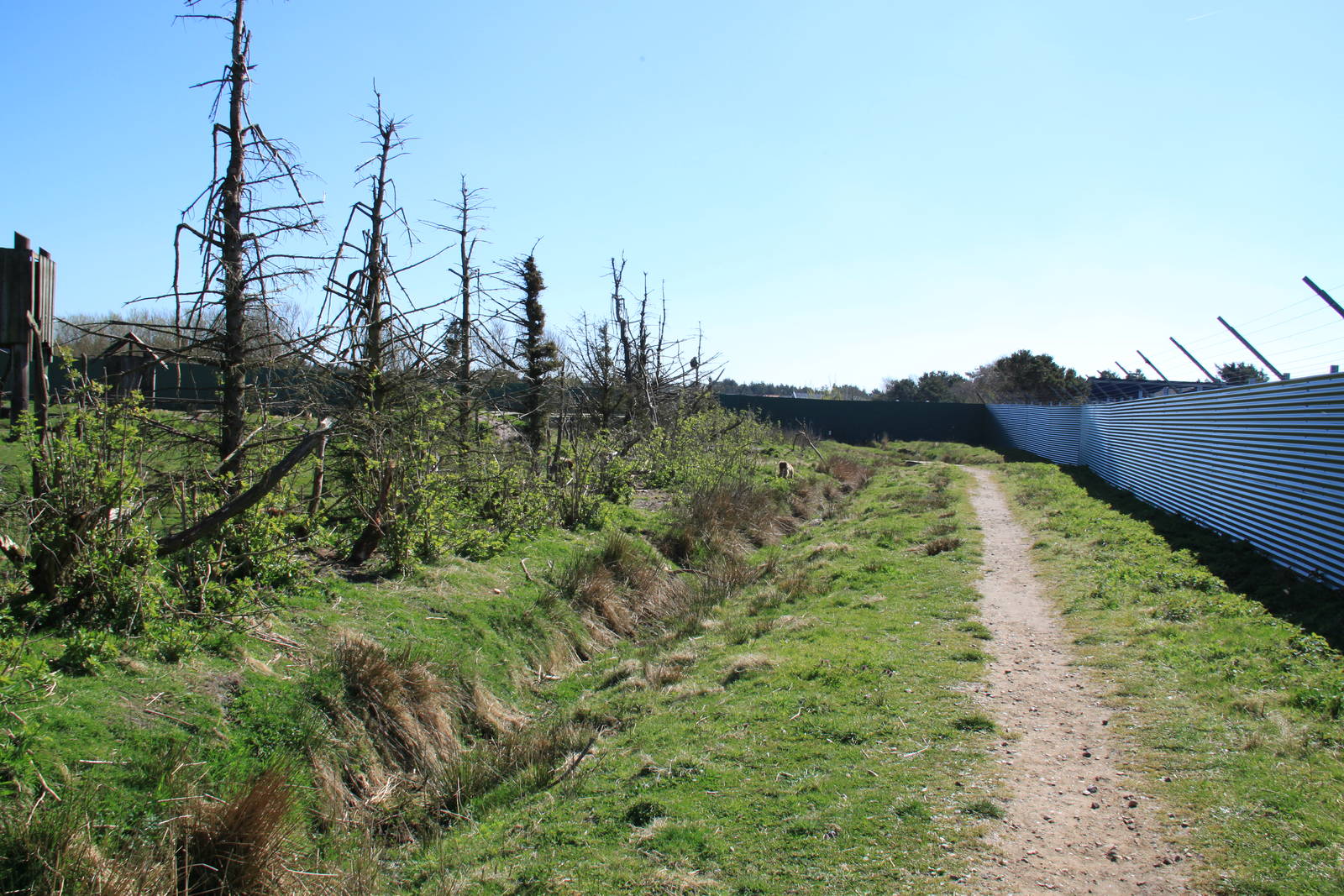 Barbary Macaque Enclosure