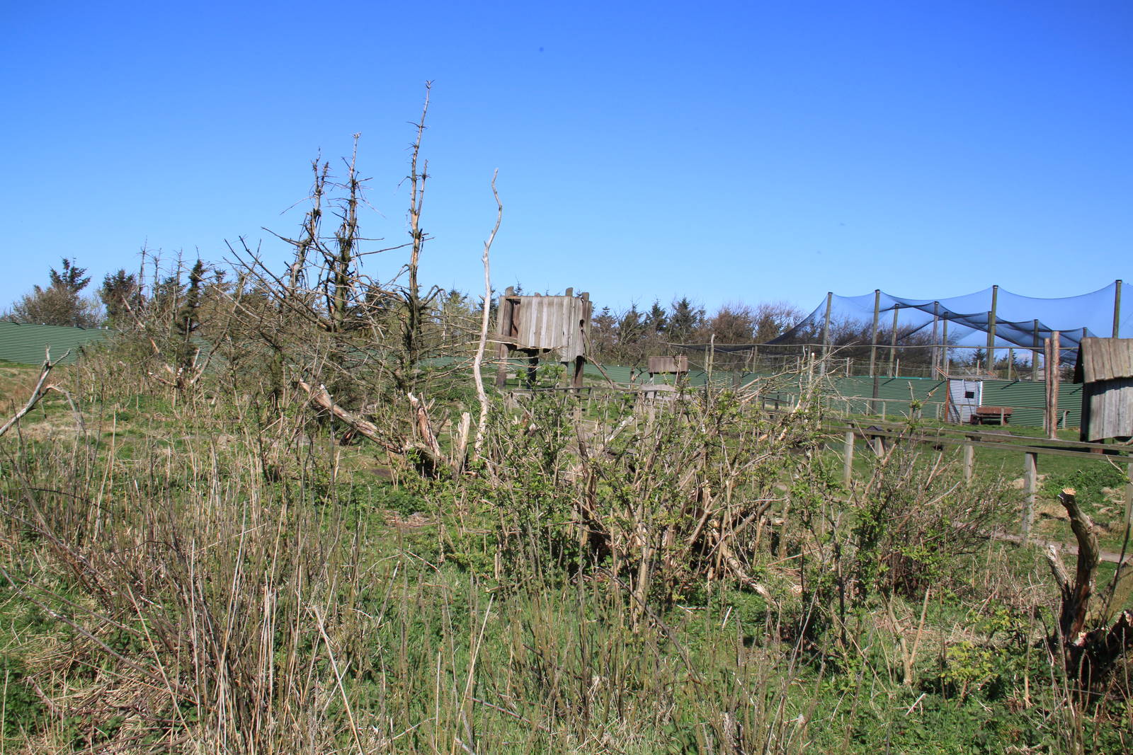 Barbary Macaque Enclosure