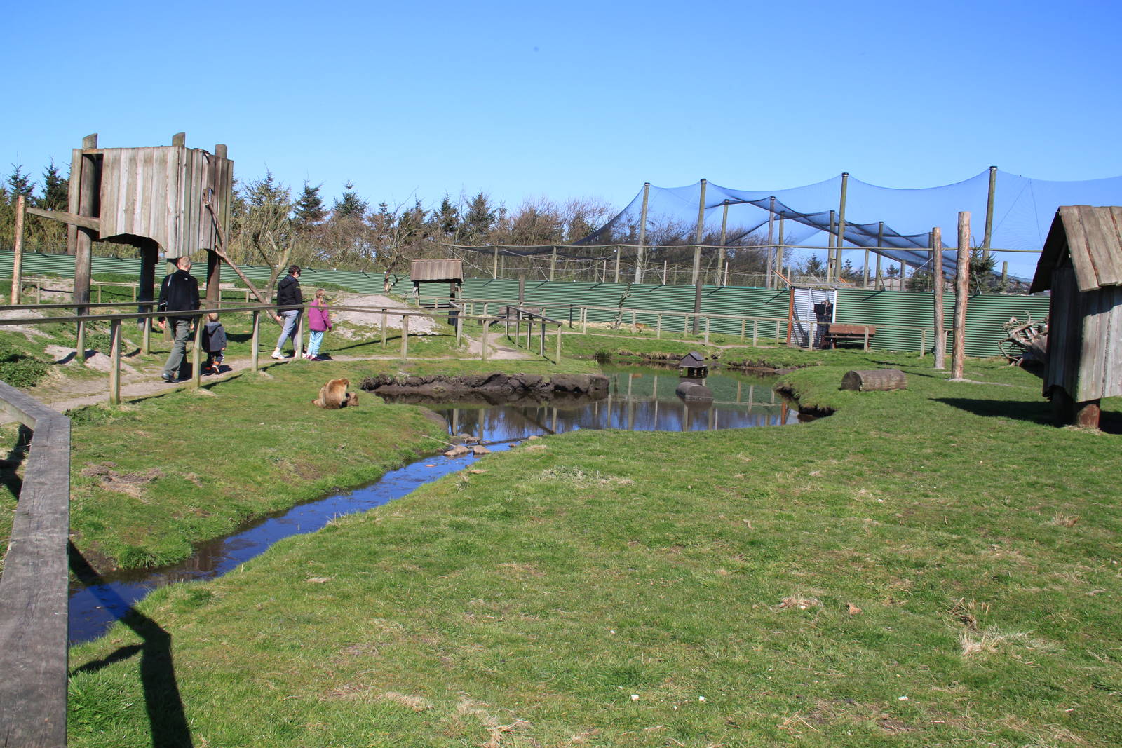 Barbary Macaque Enclosure