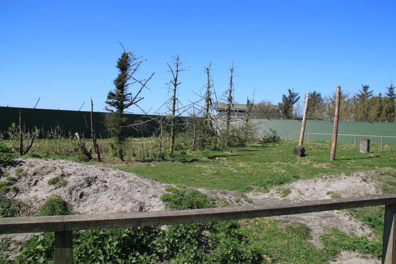 Barbary Macaque Enclosure