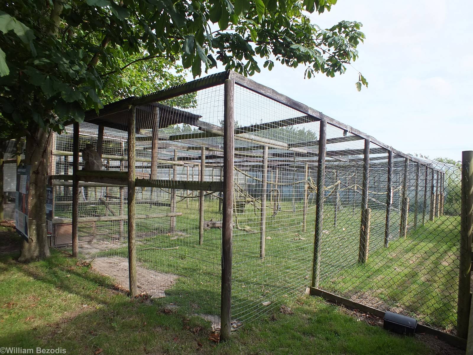 Barbary Macaque Enclosure
