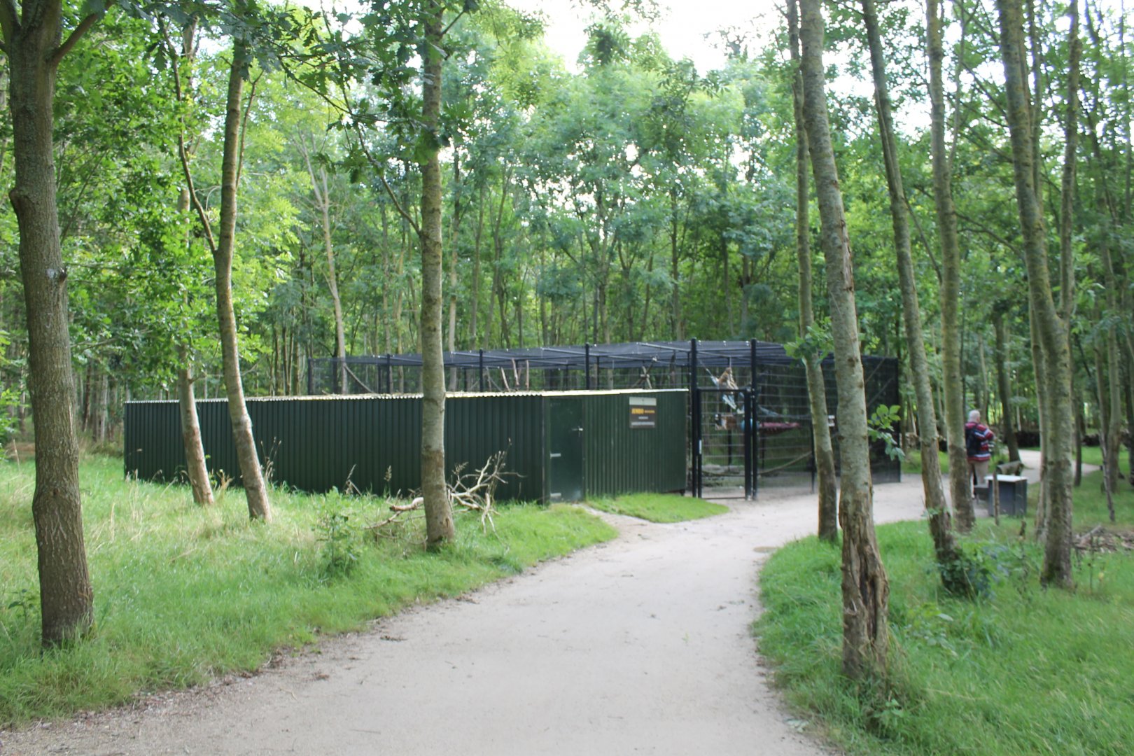 Barbary macaque Enclosure