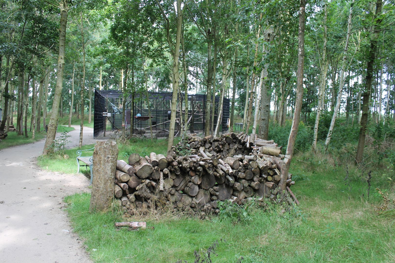 Barbary macaque Enclosure