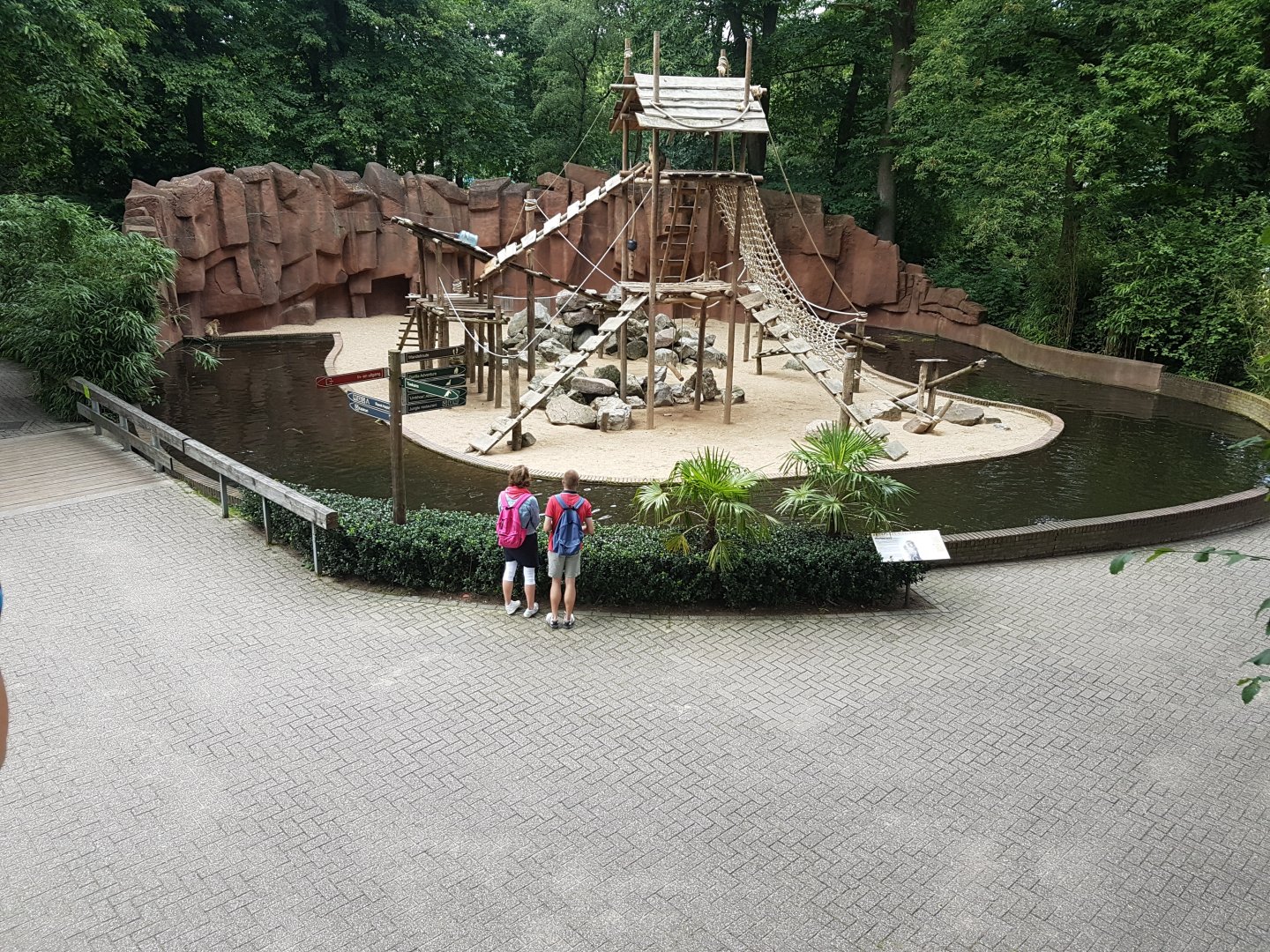 Barbary macaque-enclosure