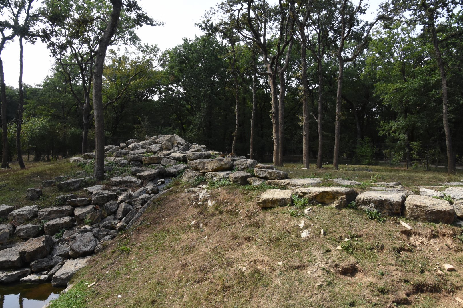 Barbary Macaque enclosure