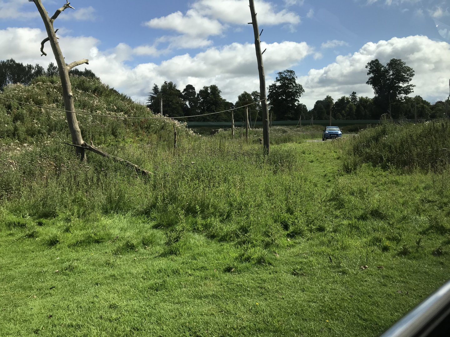 Barbary macaque enclosure