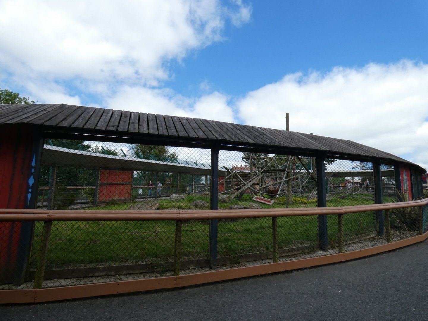 Barbary macaque enclosure