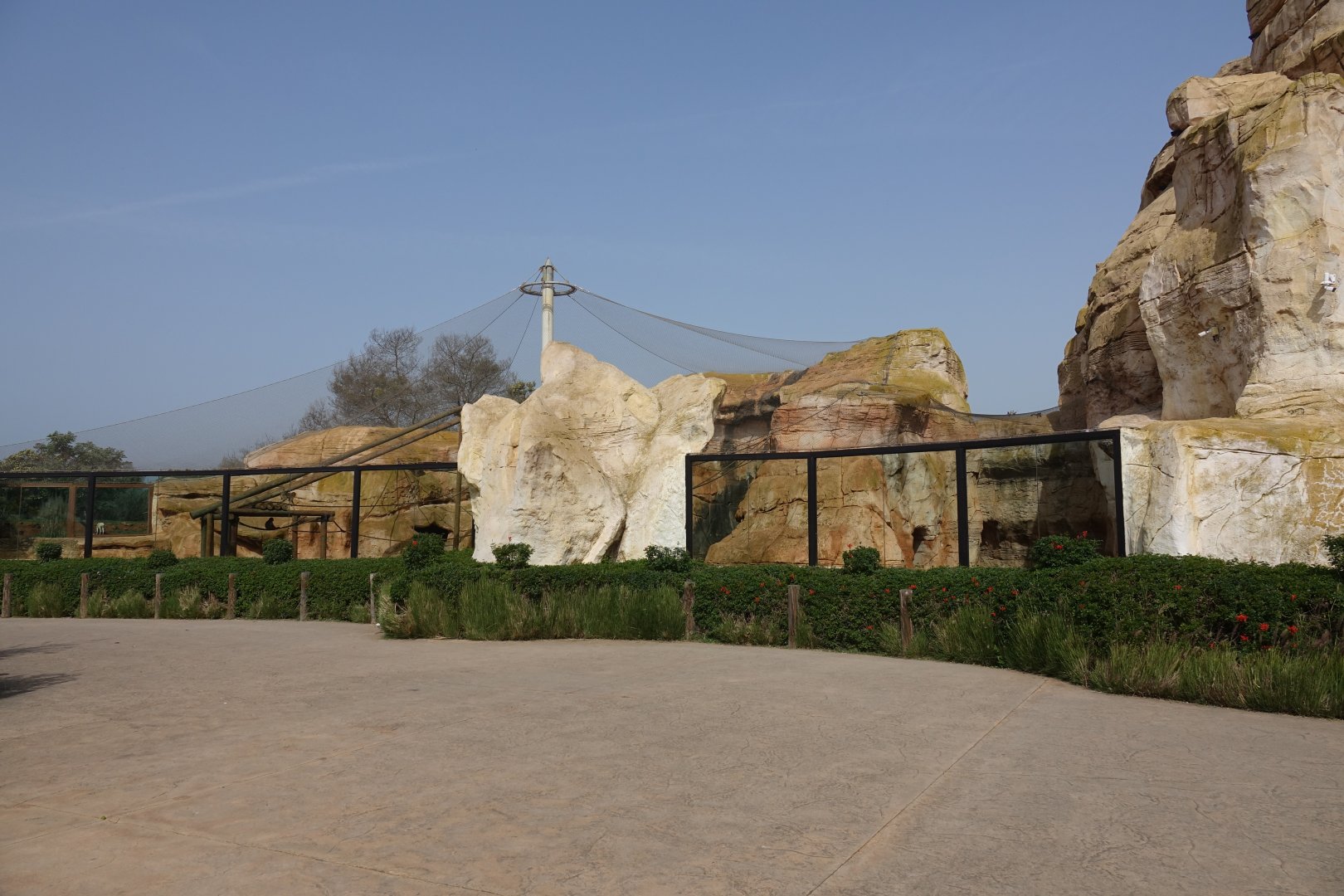 Barbary Macaque Enclosure
