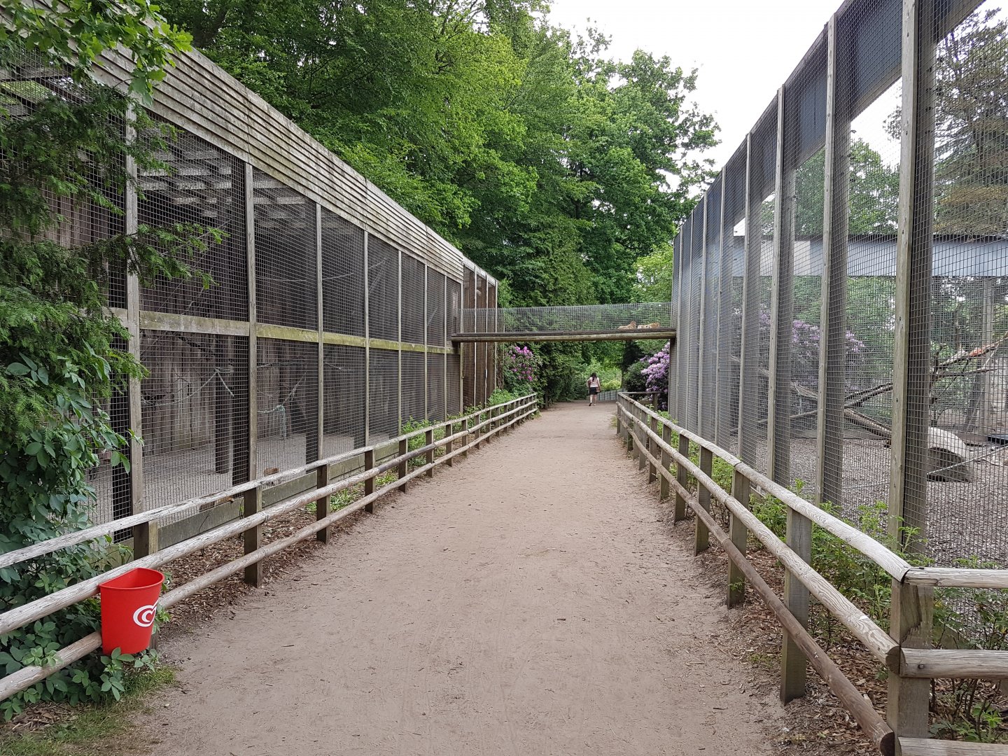 Barbary macaque enclosures with connection-tunnel