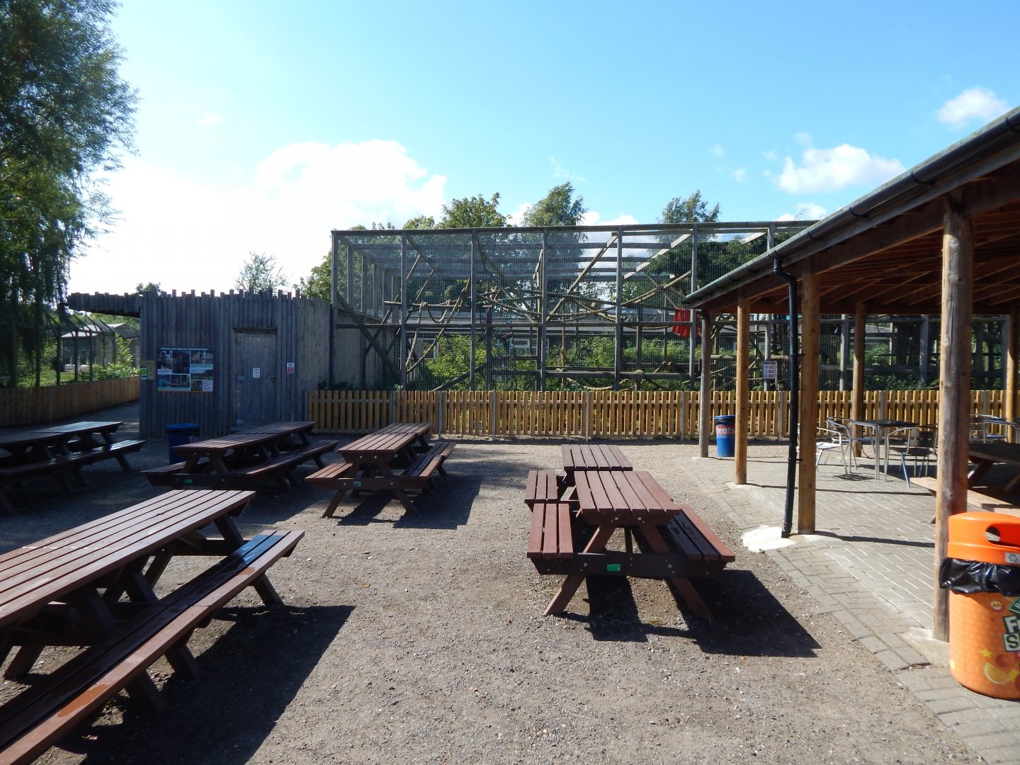Barbary macaque exhibit 030924