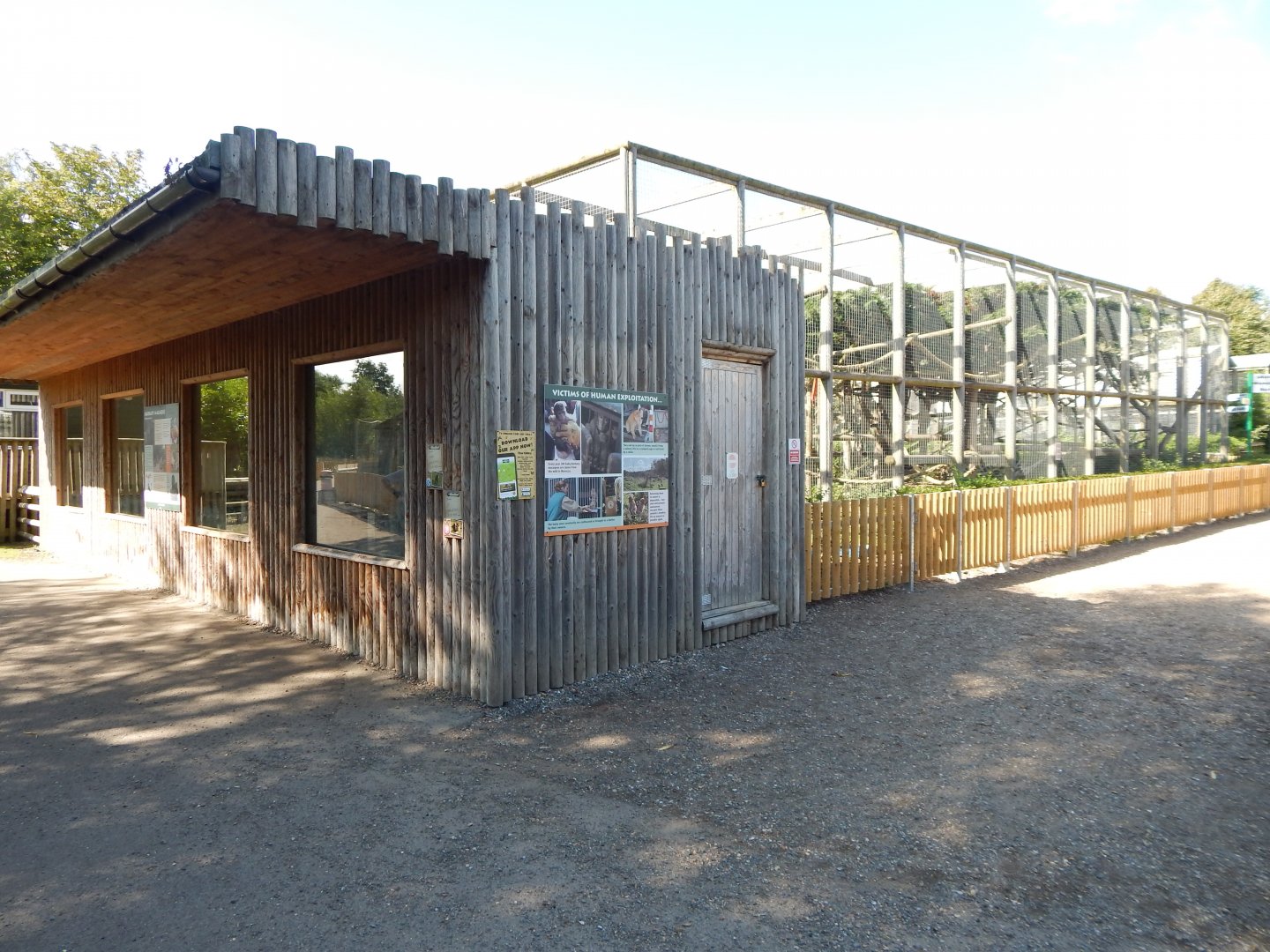 Barbary macaque exhibit 030924