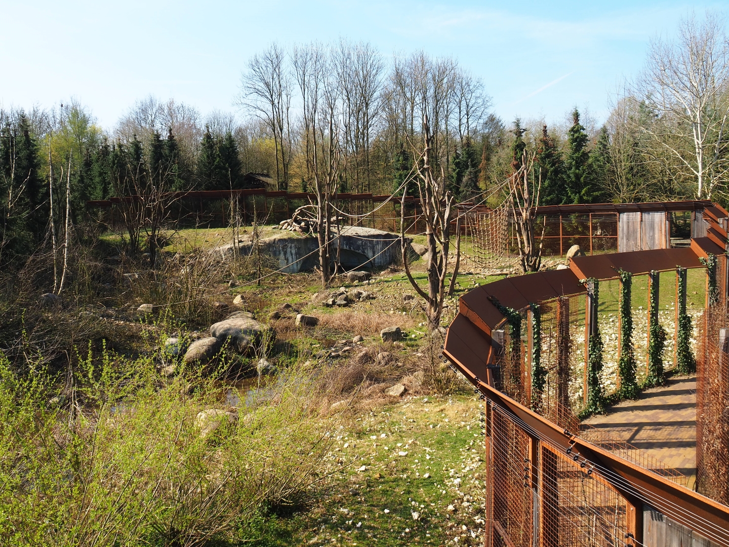 Barbary macaque exhibit, 2019-03-30