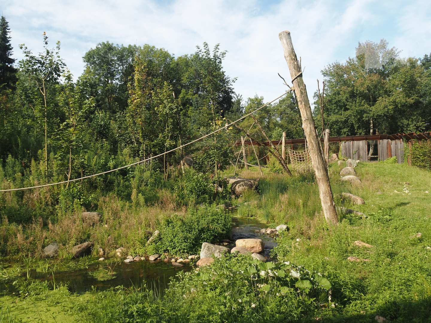 Barbary macaque exhibit, 2024-08-21