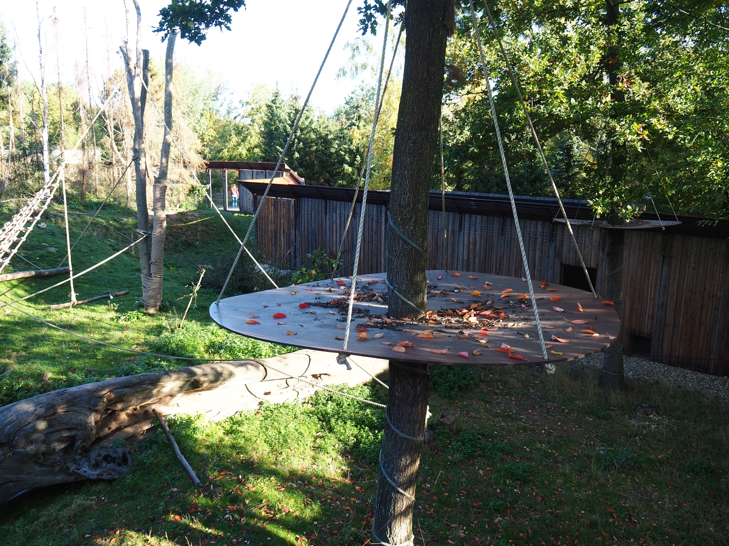 Barbary macaque exhibit and holding house (Oct 13th, 2018)