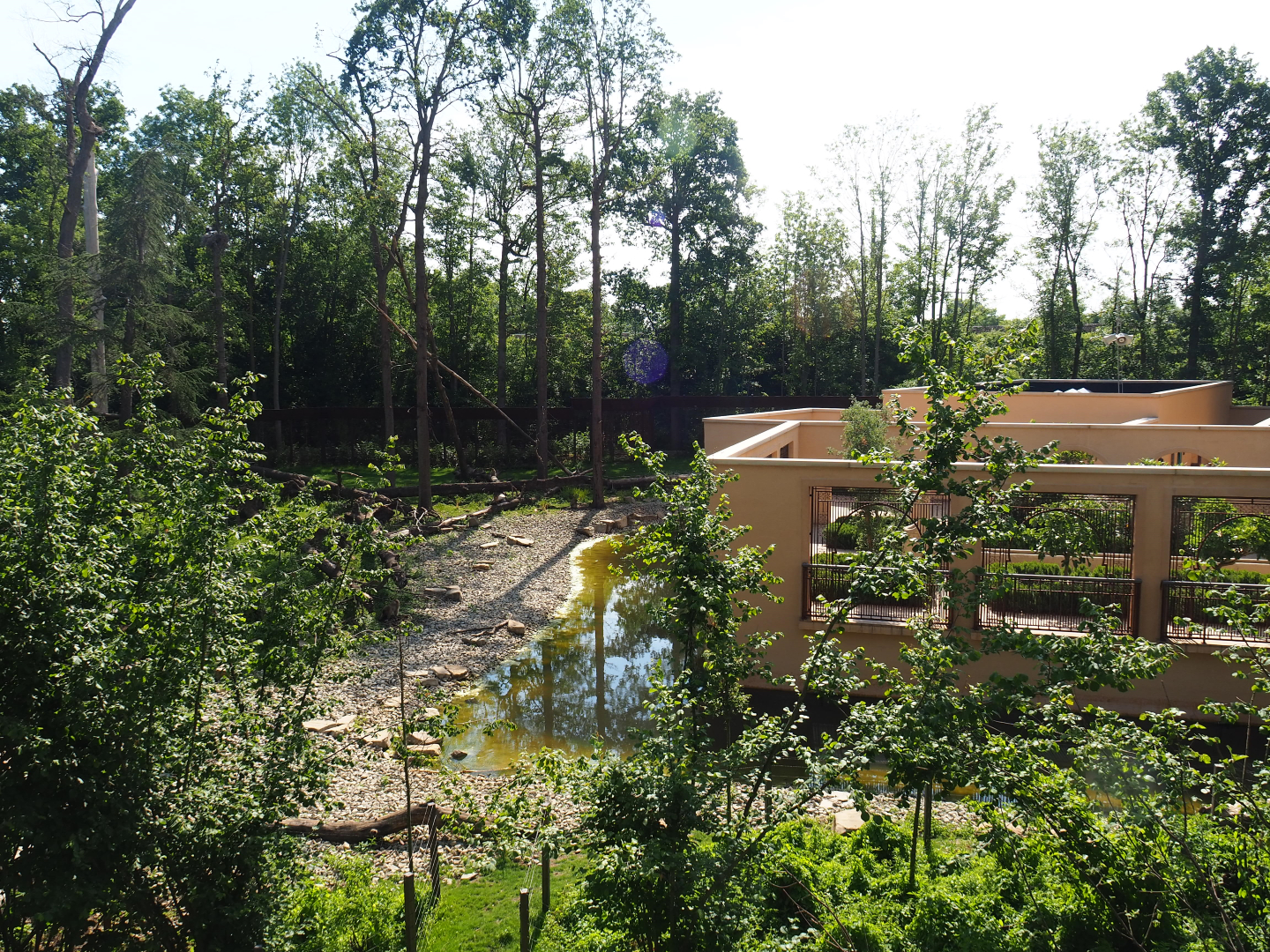 Barbary macaque exhibit and Moroccon pavilion, 2020-06-12