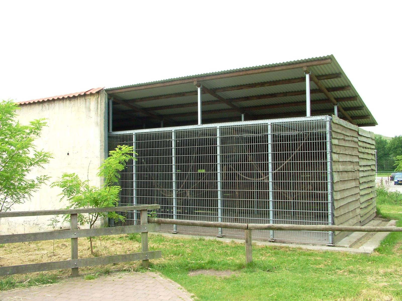 Barbary Macaque Exhibit at Dierenrijk, 31/05/12