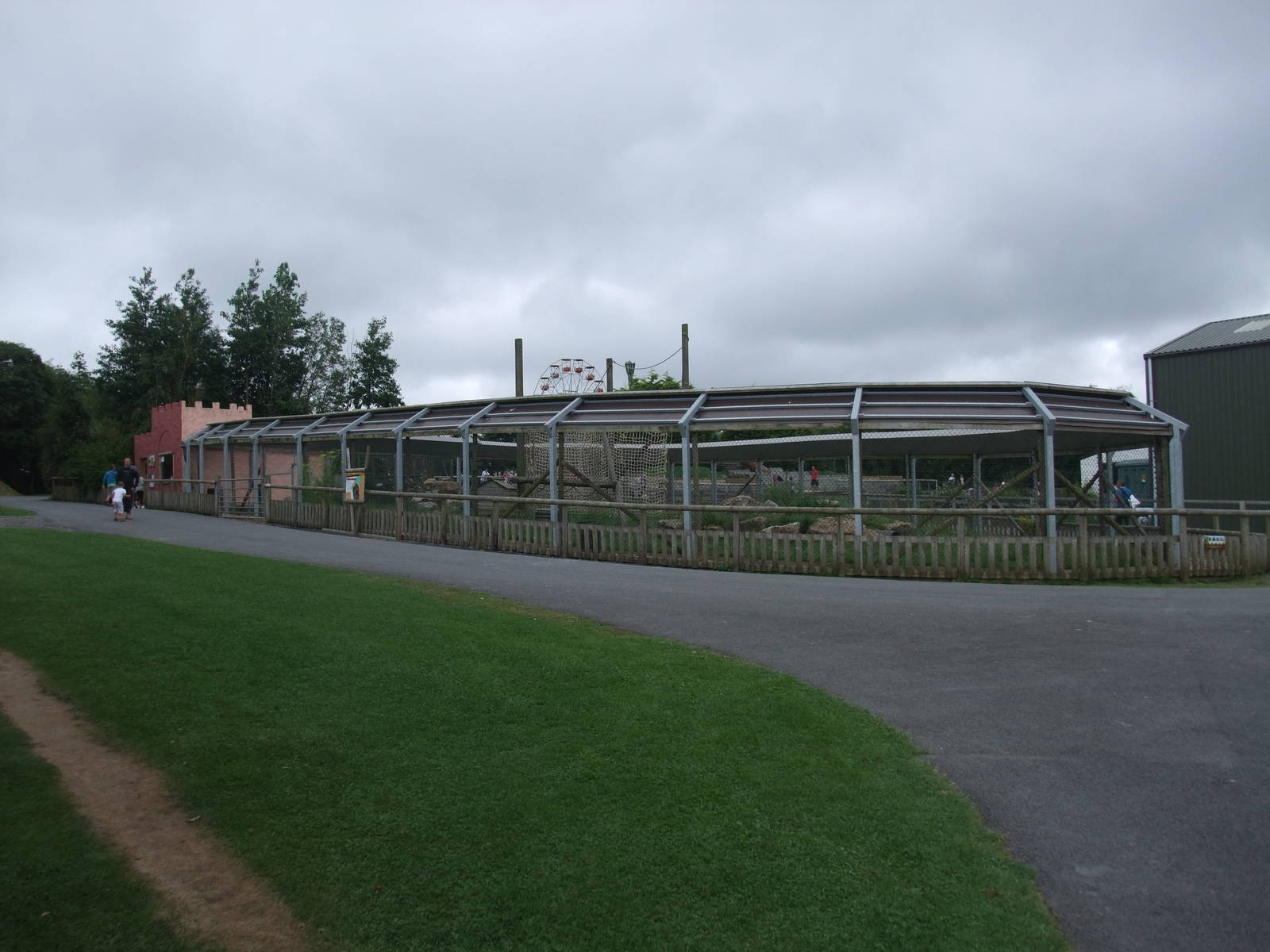 Barbary Macaque Exhibit at Folly Farm, 01/08/11