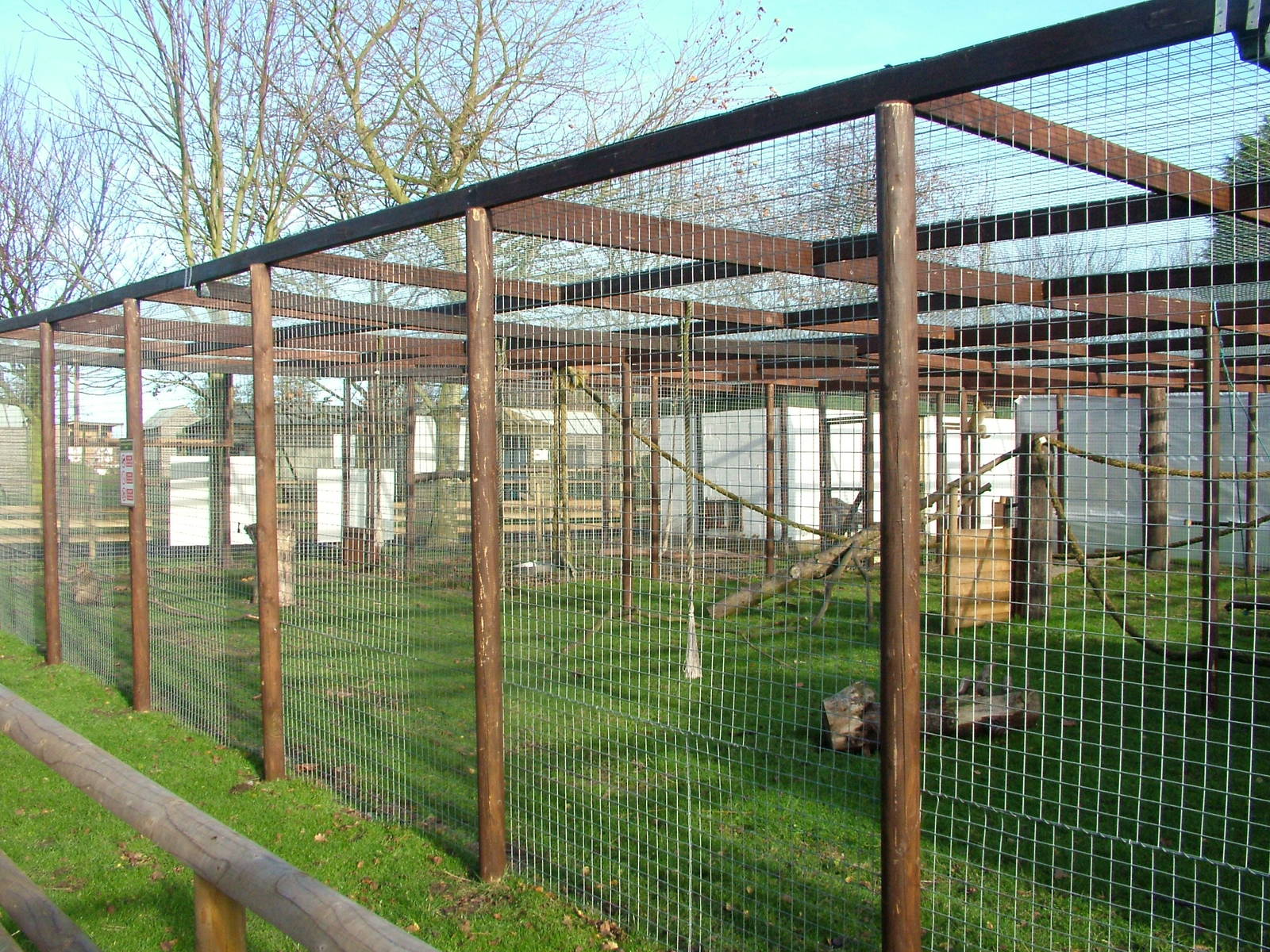 Barbary Macaque exhibit at Wingham 28/11/09