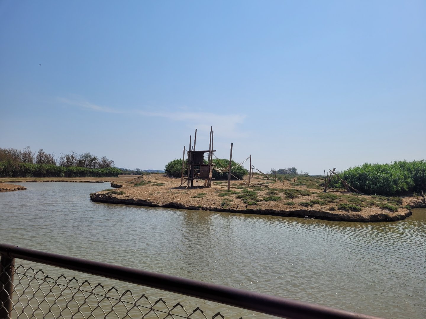 Barbary macaque exhibit -Réserve Africaine de Sigean (2022)