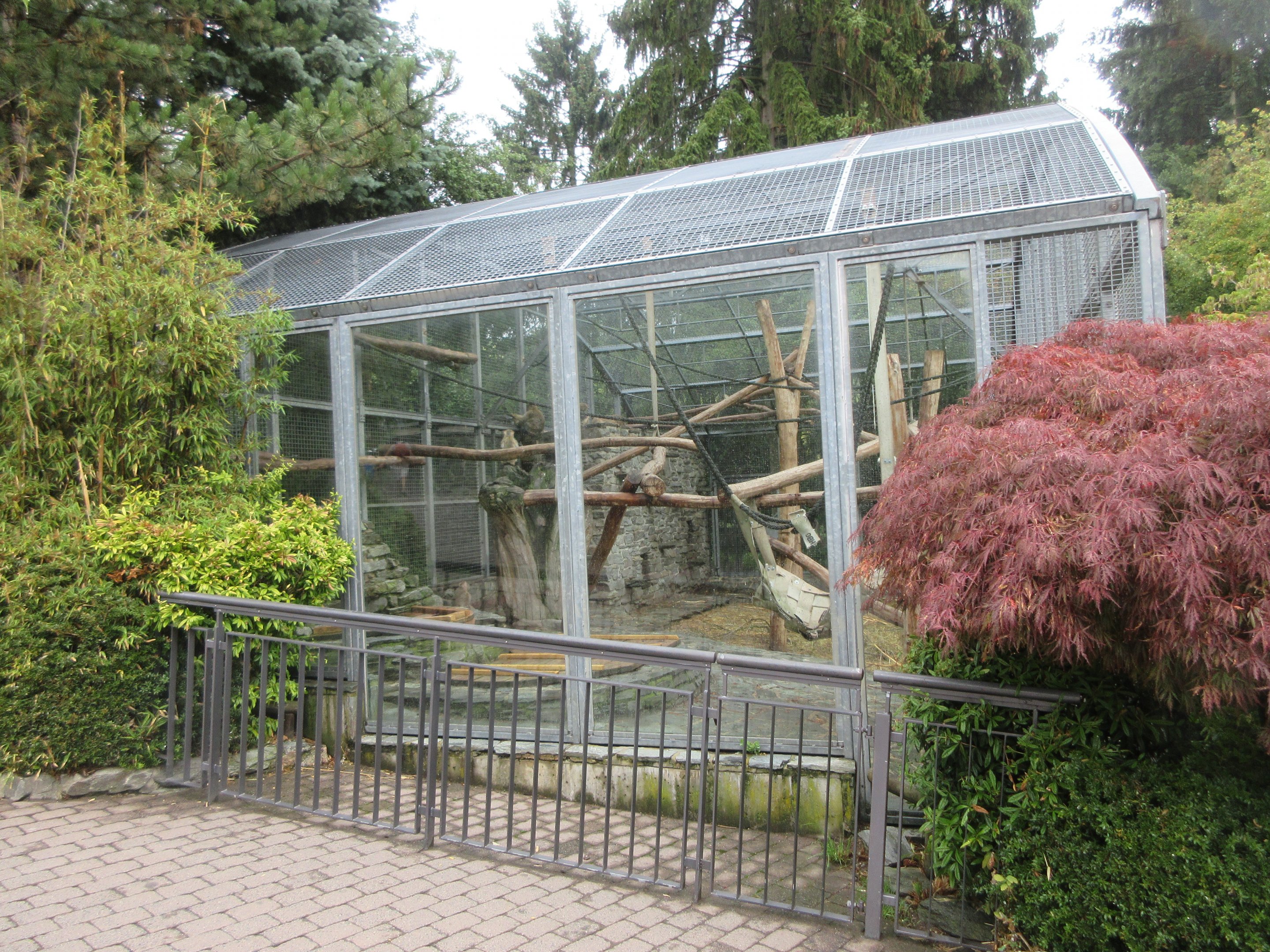 Barbary Macaque Exhibit (side view)
