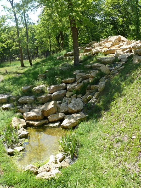 Barbary macaque exhibit
