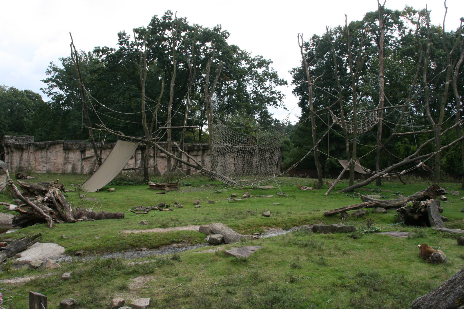 Barbary macaque exhibit