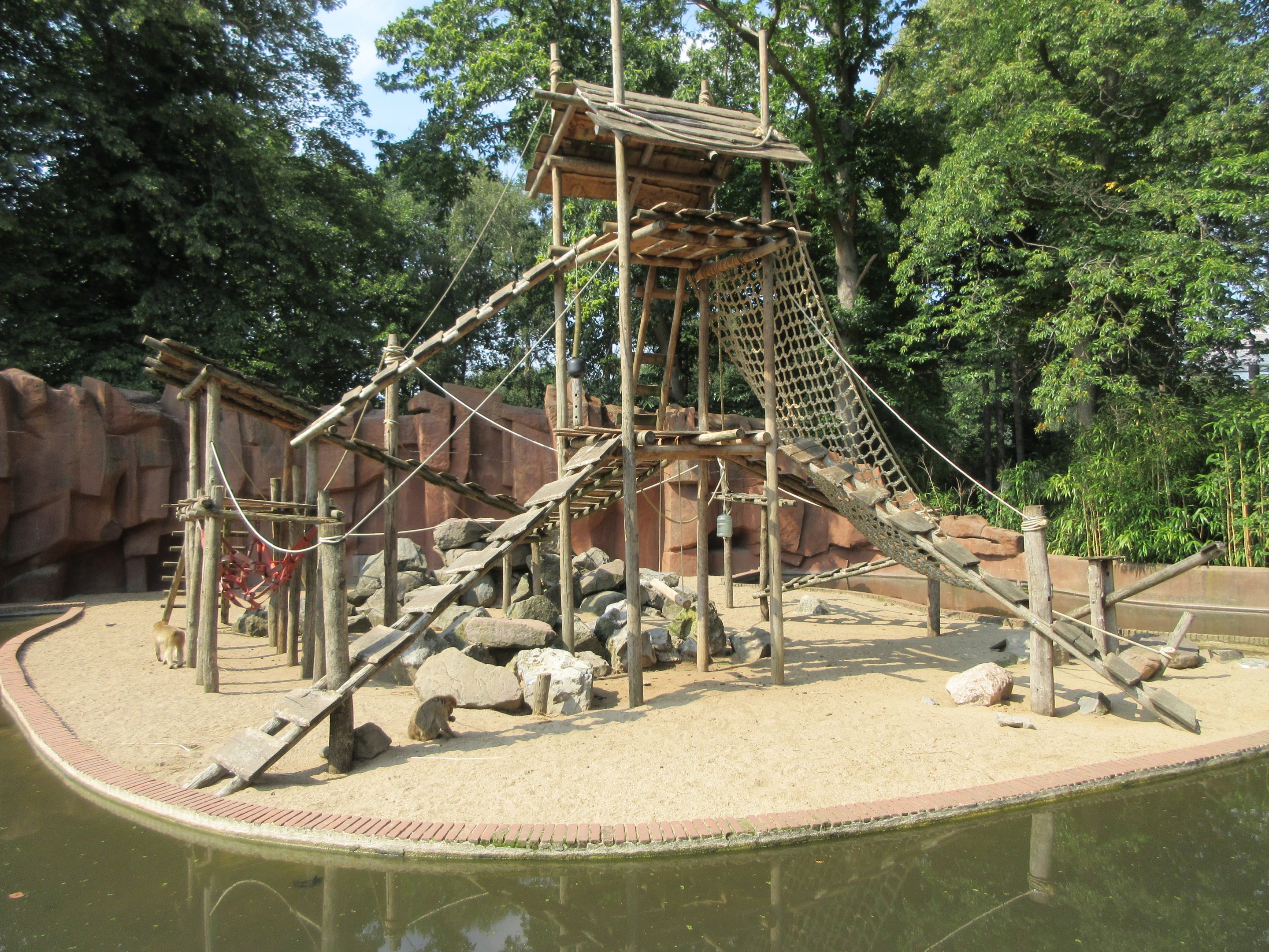Barbary Macaque Exhibit