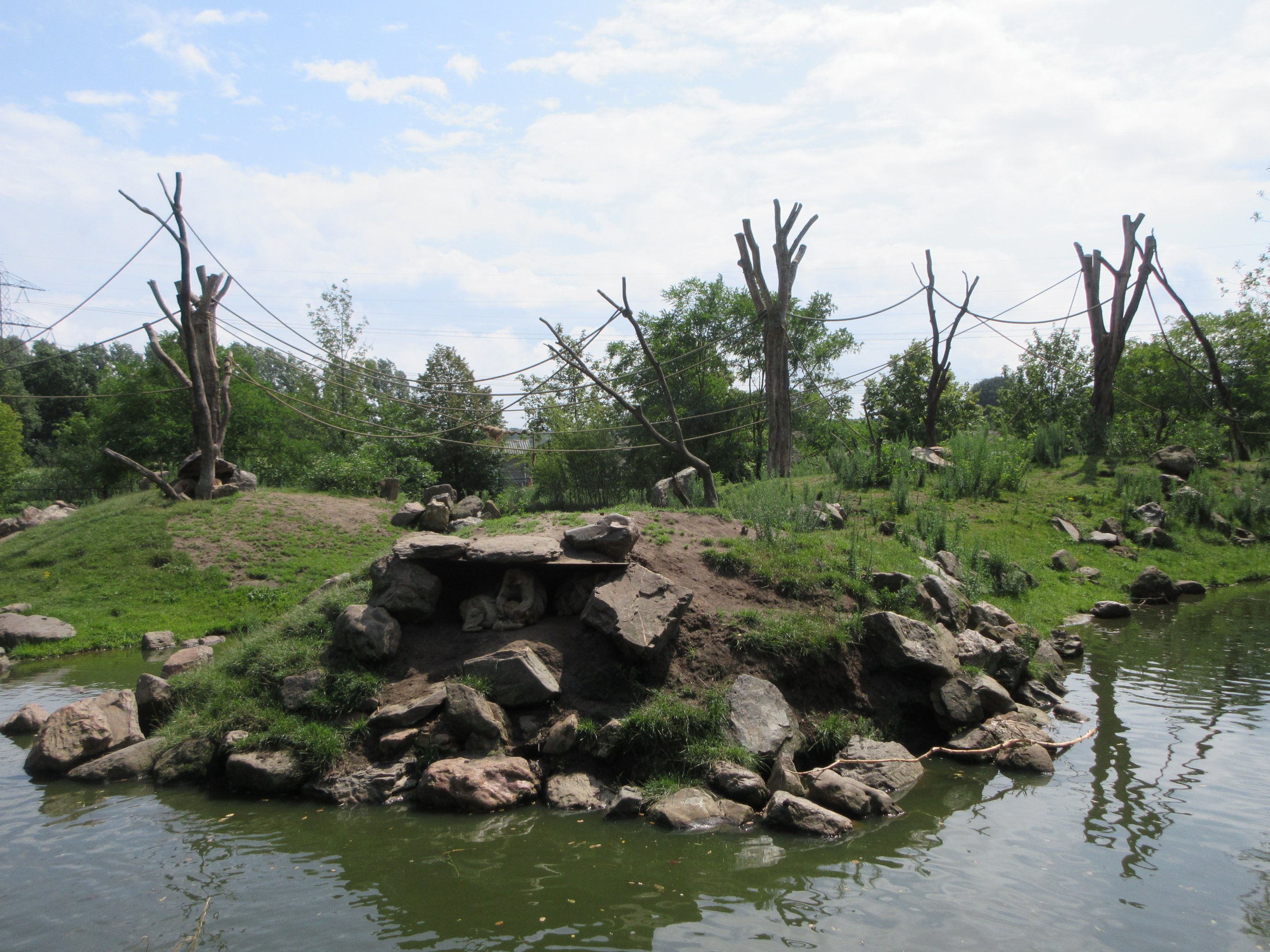 Barbary Macaque Exhibit