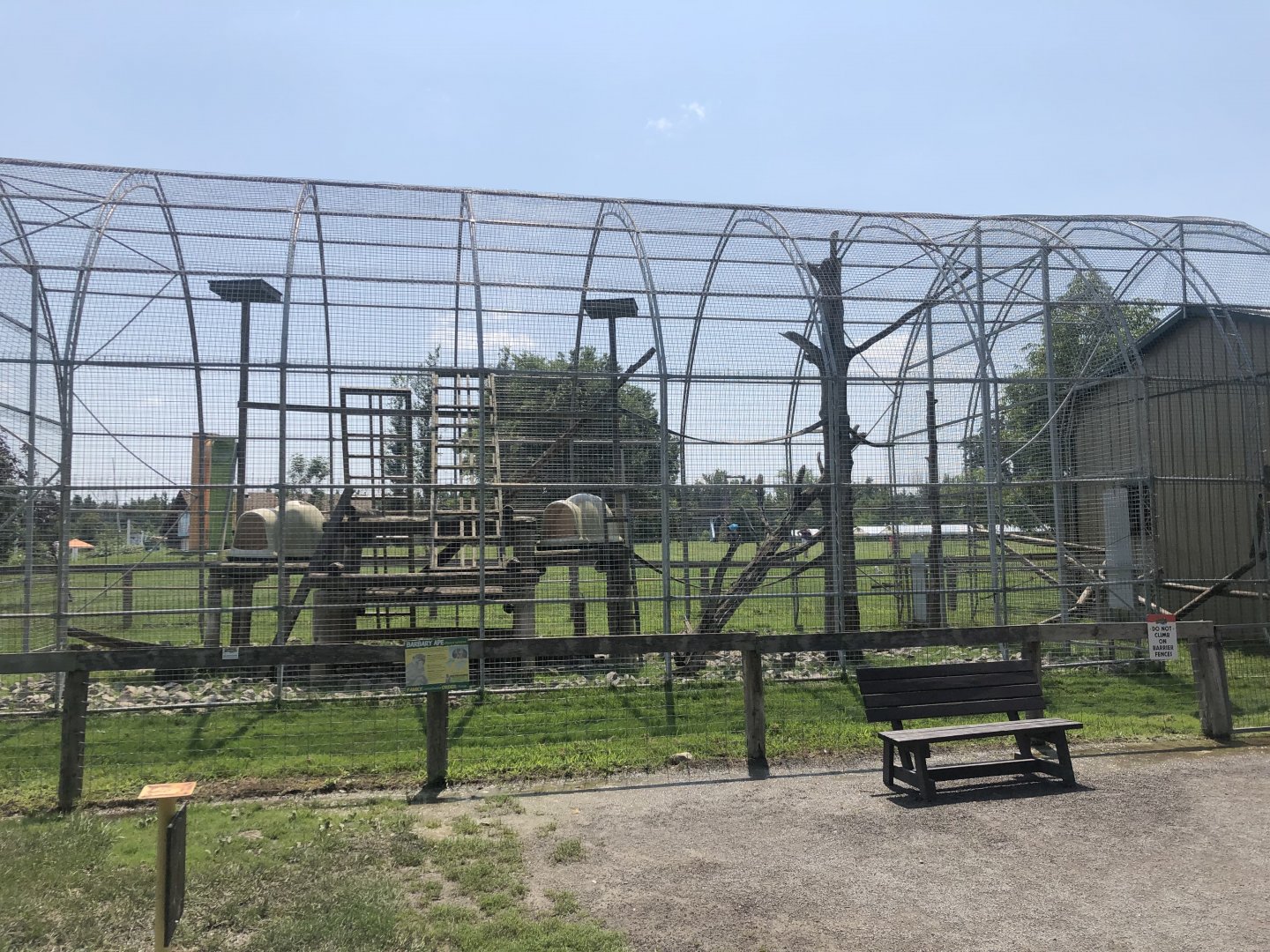Barbary Macaque Exhibit
