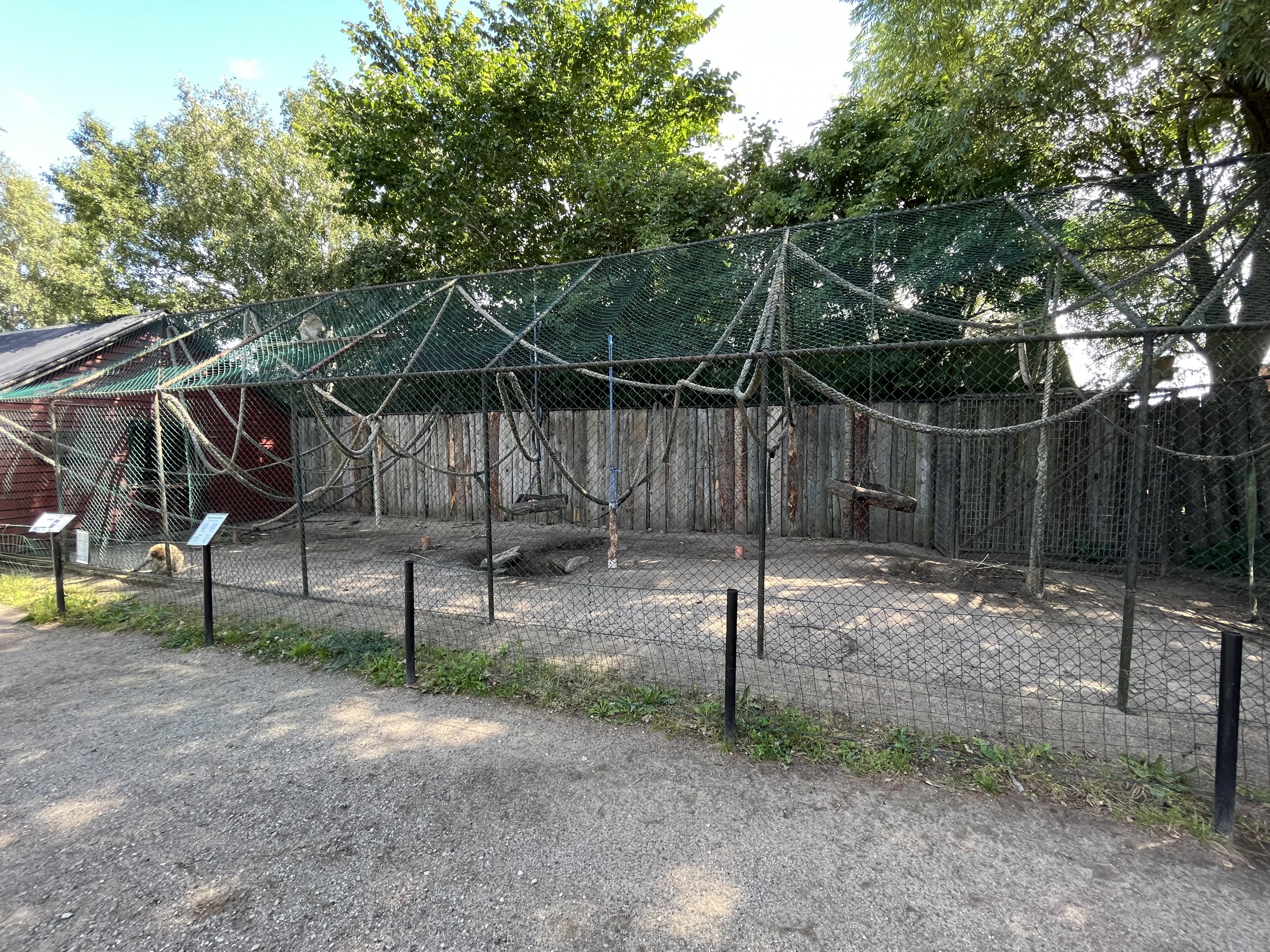 Barbary Macaque Exhibit