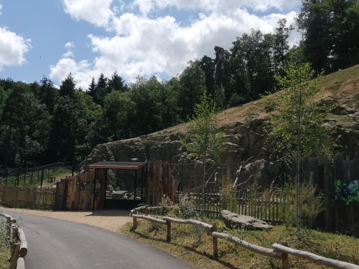 Barbary macaque exhibit