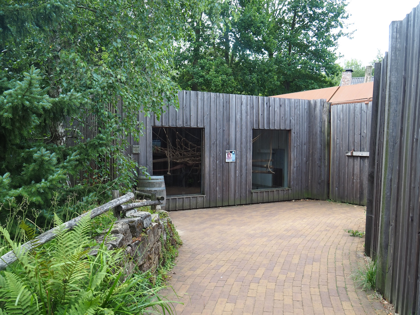 Barbary macaque holding building, 2023-07-18