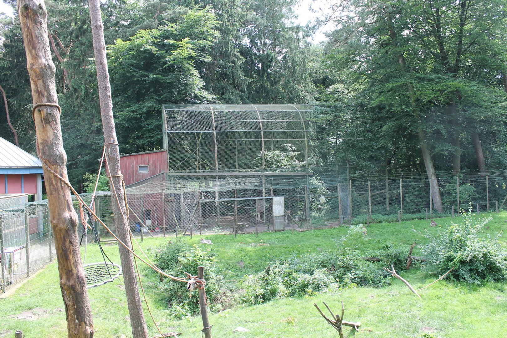 Barbary macaque-holding-enclosure