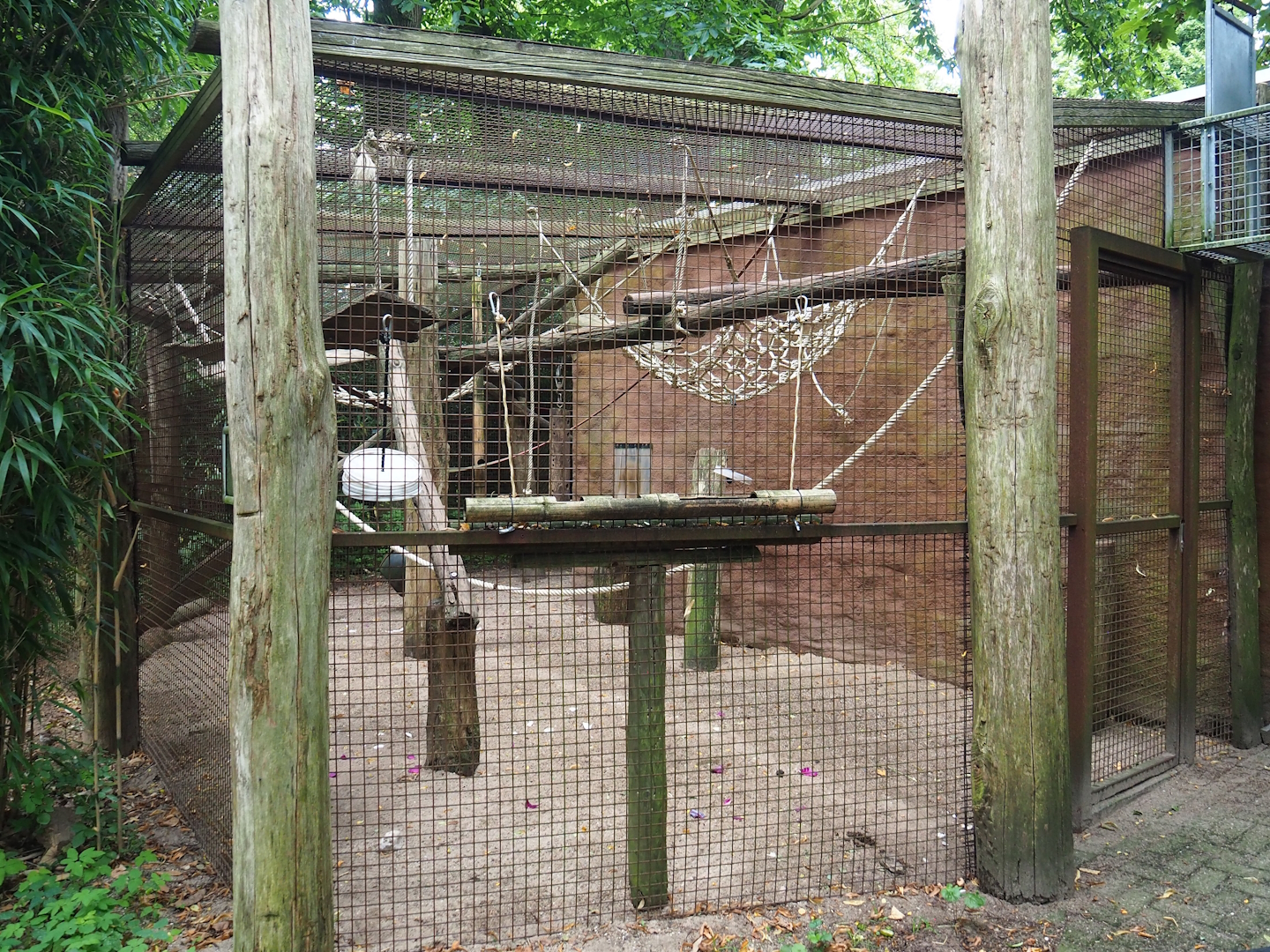 Barbary macaque holding/Separation area, 2023-08-17