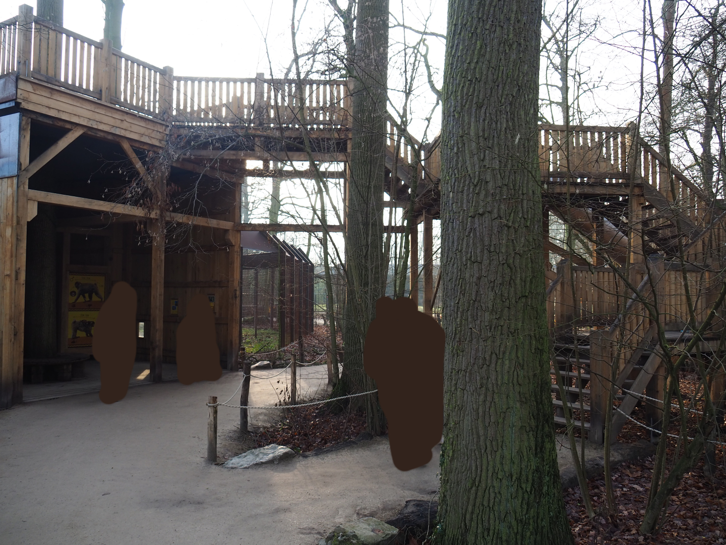 Barbary macaque observation areas, 2019-12-28