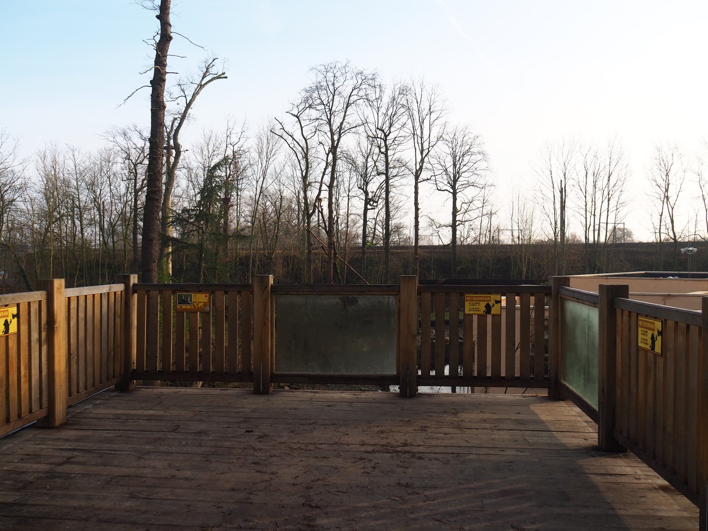 Barbary macaque observation deck, 2019-12-28