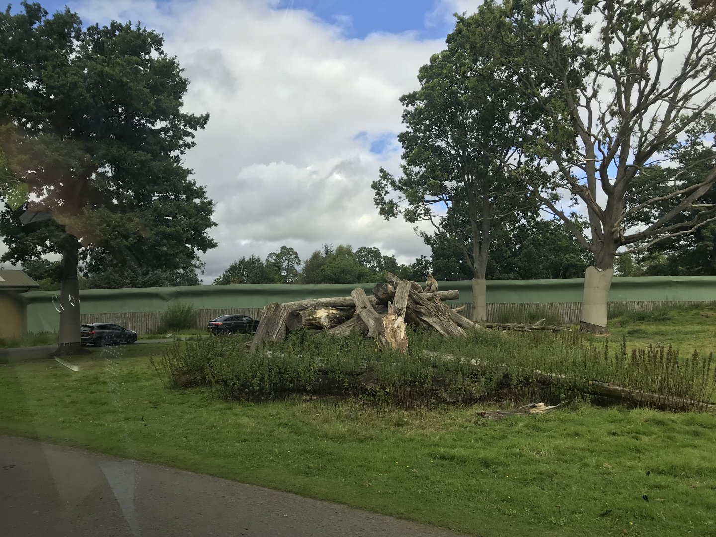 Barbary macaque reserve (2)
